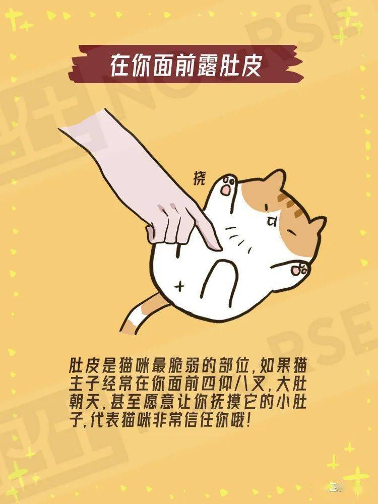 四仰八叉打一最佳生肖的警惕虚假宣传-全面解答解释落实
