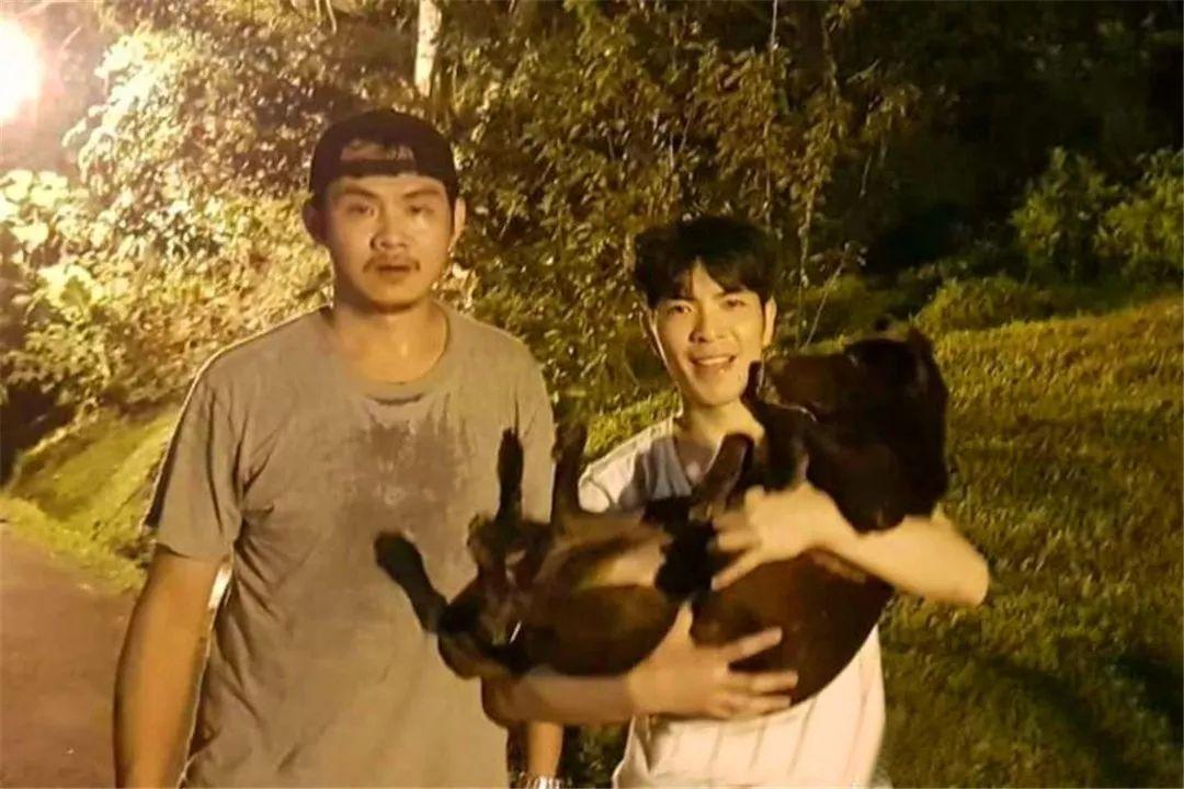 欲钱买风风火火的动物打一正准生肖的警惕虚假宣传-全面释义、解释与落实、实证解答解释落实