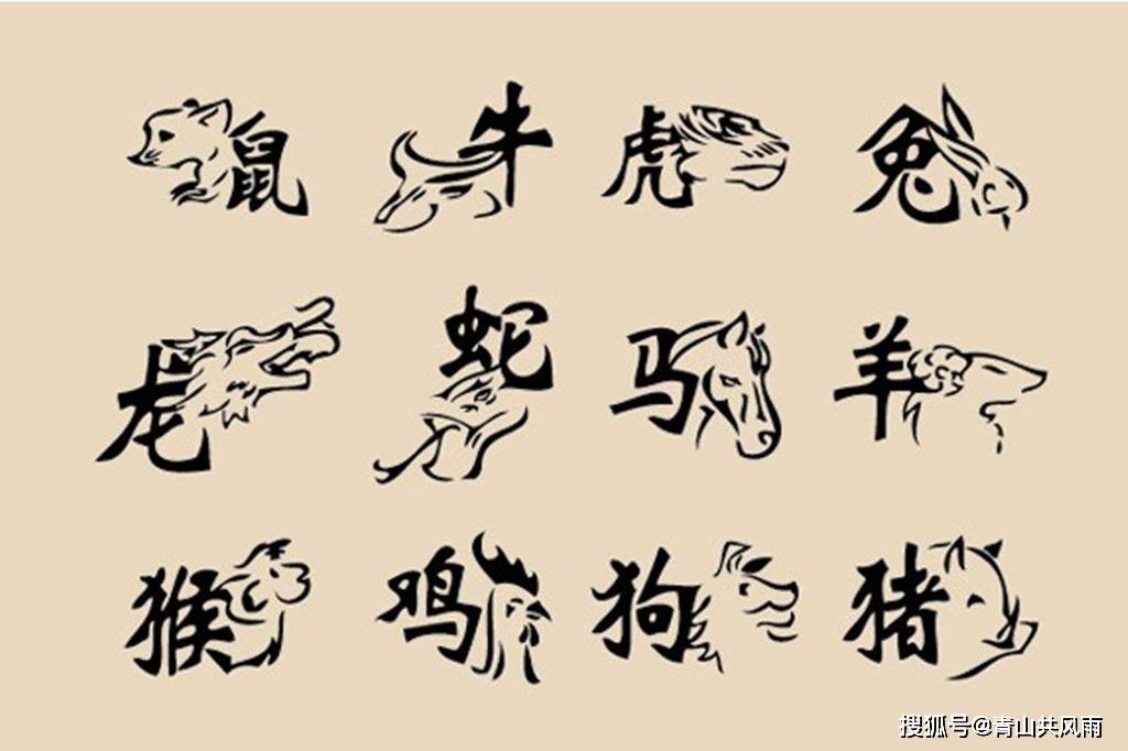 餐风沐雨打一最准生肖仔细释义、解释与落实、实时解答解释落实