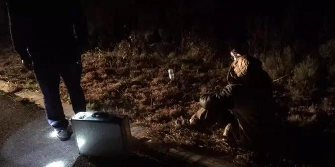 欲钱看马槽边上的苍蝇代表什么生肖的警惕虚假宣传-全面释义、解释与落实、专家解答解释落实
