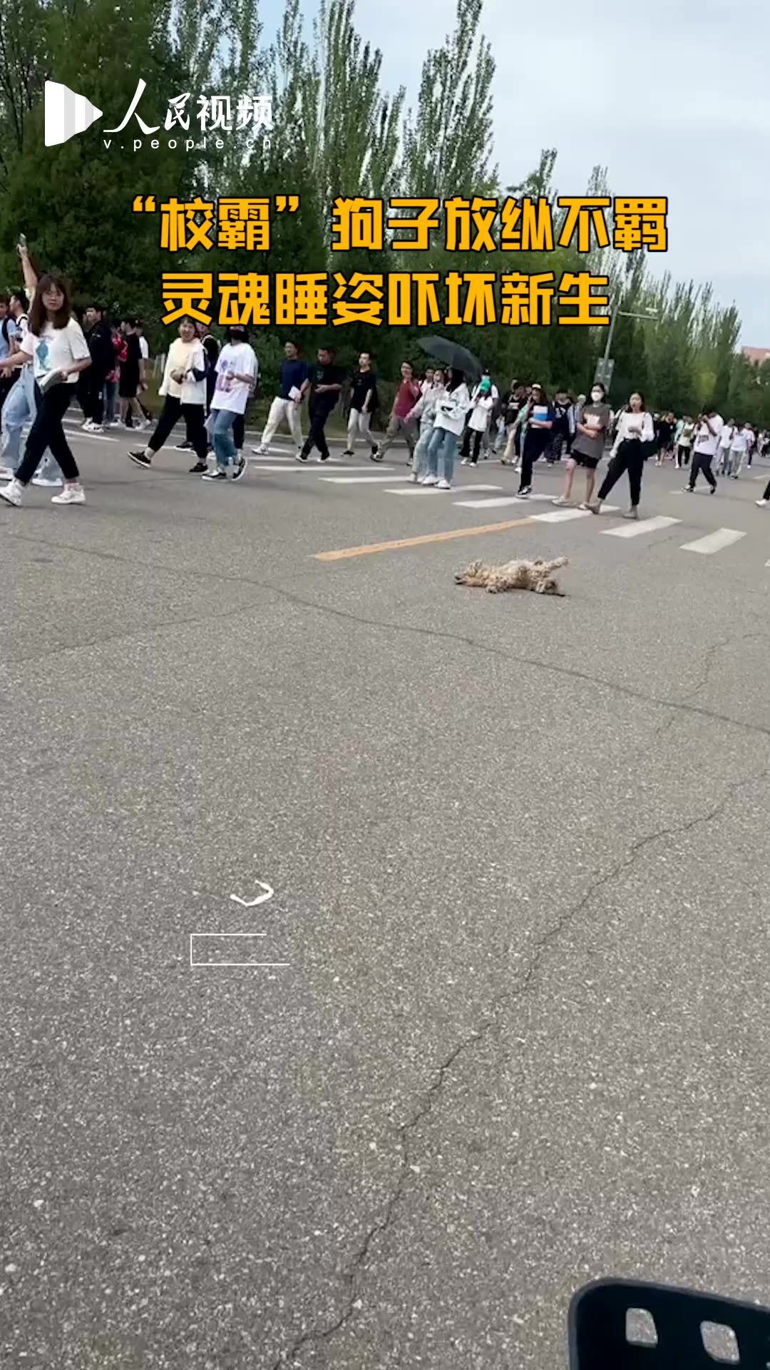 四仰八叉打一最佳生肖与警惕虚假宣传-全面释义、实证解答解释落实