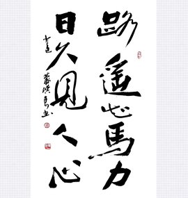 駿駒迄立，腰骨挺直，路遙自然知馬力打一最佳精准生肖精选解析、解释与落实、统计解答解释落实
