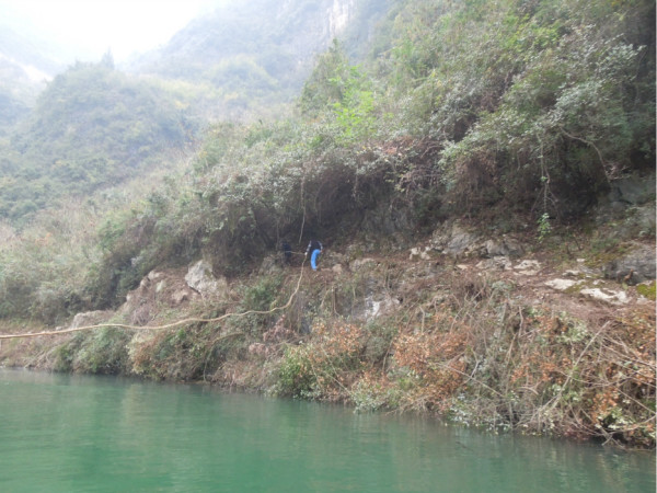 绿水青山洲生色金龙飞舞彩云间打一肖全面释义、时代解答解释落实