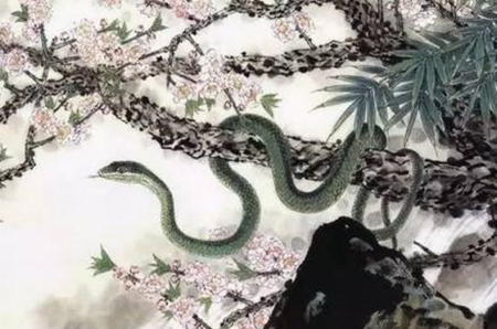 曾经沧海难为水春光美好猪蛇牛是什么生肖,警惕虚假宣传,深度解答解释落实