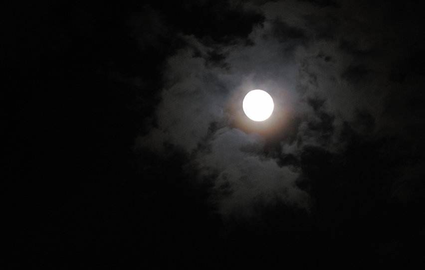 披星戴月，南陌柔條，药方求来多有效打一正准生肖请全面释义、解释与落实、实证解答解释落实